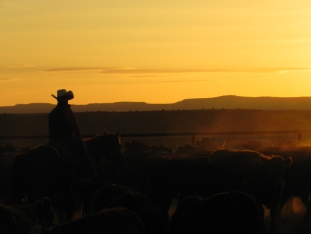"Cowboy Sunset" by Ricardo Arias, NM